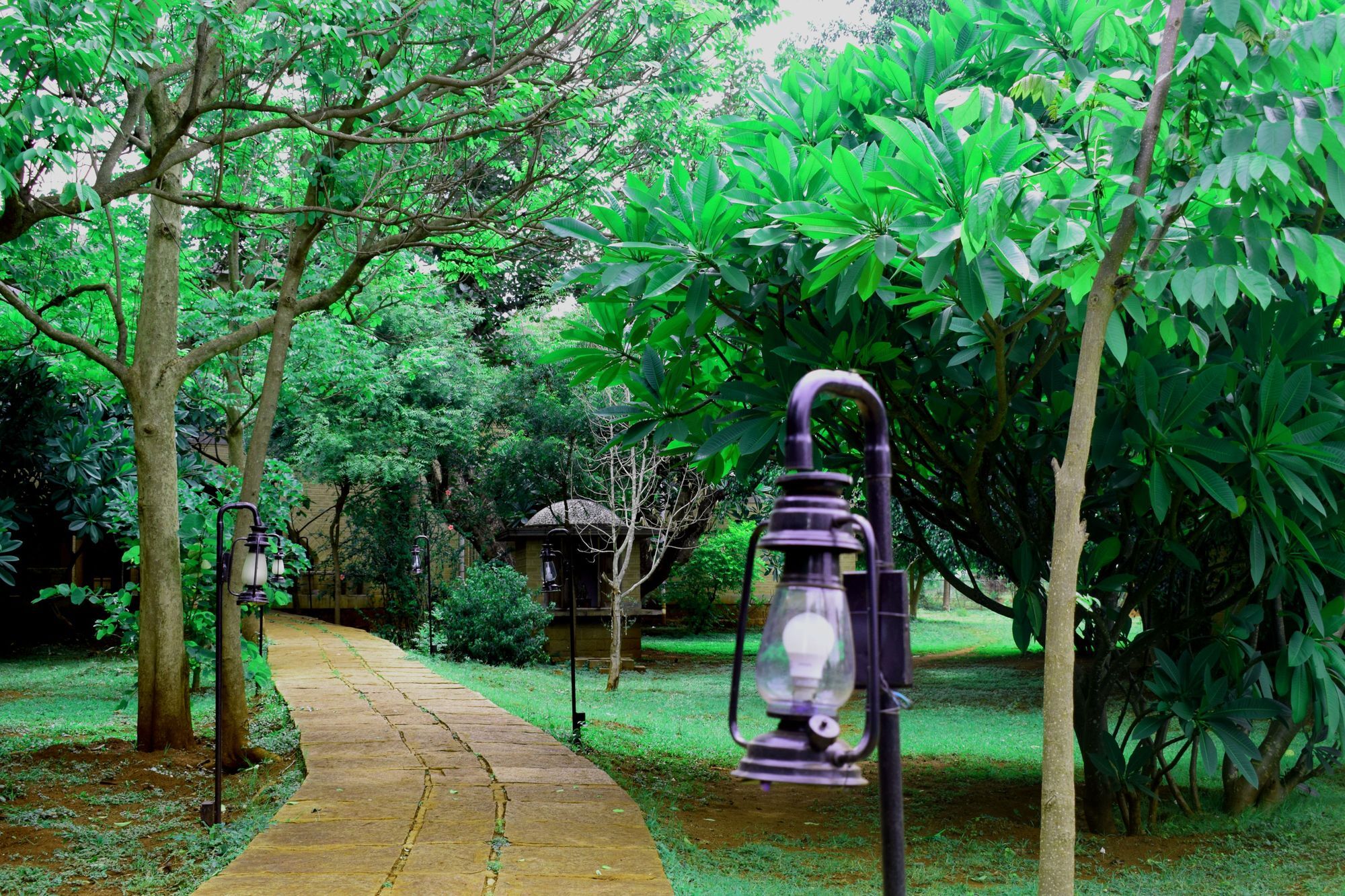 เอาเวอร์ เนทีฟ วิลเลจ รีสอร์ต Hotel Gadigarpalya ภายนอก รูปภาพ